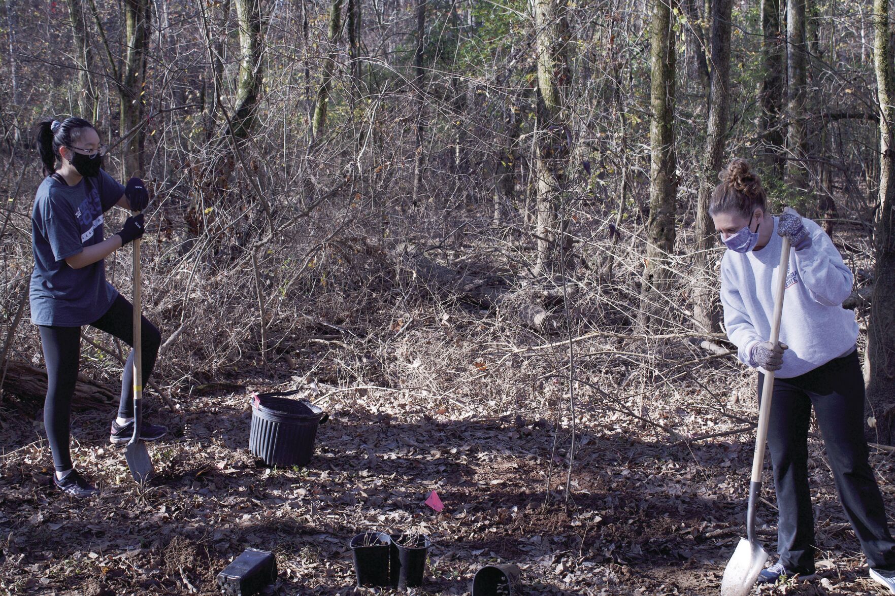 Big Creek Clean up